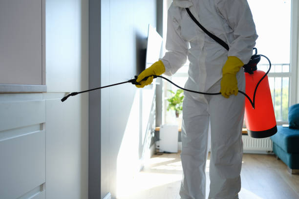 Best Attic Mold Removal  in Charleston, MS