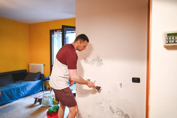 Best Black Mold Removal  in Charleston, MS